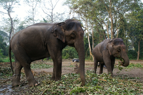 2005_nepaltrip_040